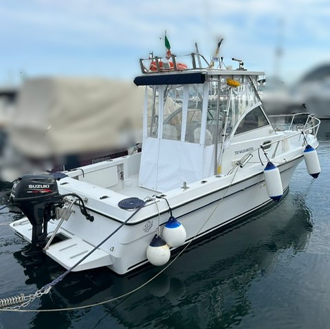 3B CRAFT T22 WA + 220 HP VM <br><a href=dettaglio.aspx?Id=284 >VAI ALLA SCHEDA</a>